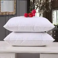 Soft Microfiber Cushion (Set Of 2) 