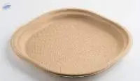Chukizza 9 Inch Plate
