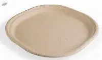 10 Inch Plate