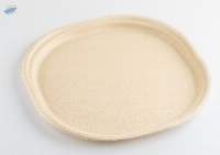 12 Inch Plate