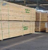 Timber Wood, Planed Or Rustic Wood, Pinus