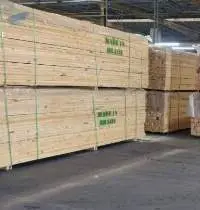 Timber Wood, Planed Or Rustic Wood, Pinus