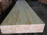 Pine Wood Blanks / Painel Wood Blanks