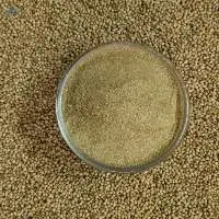 Coriander Seeds and Powder