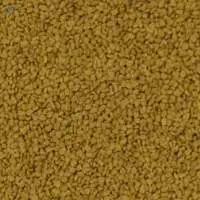 Fenugreek Seeds