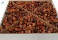 Halawi dates