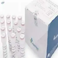 Respiratory Pathogens