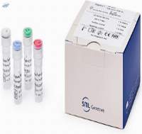 Vitro  Diagnostic Test HP-CLA Real-time PCR Kit