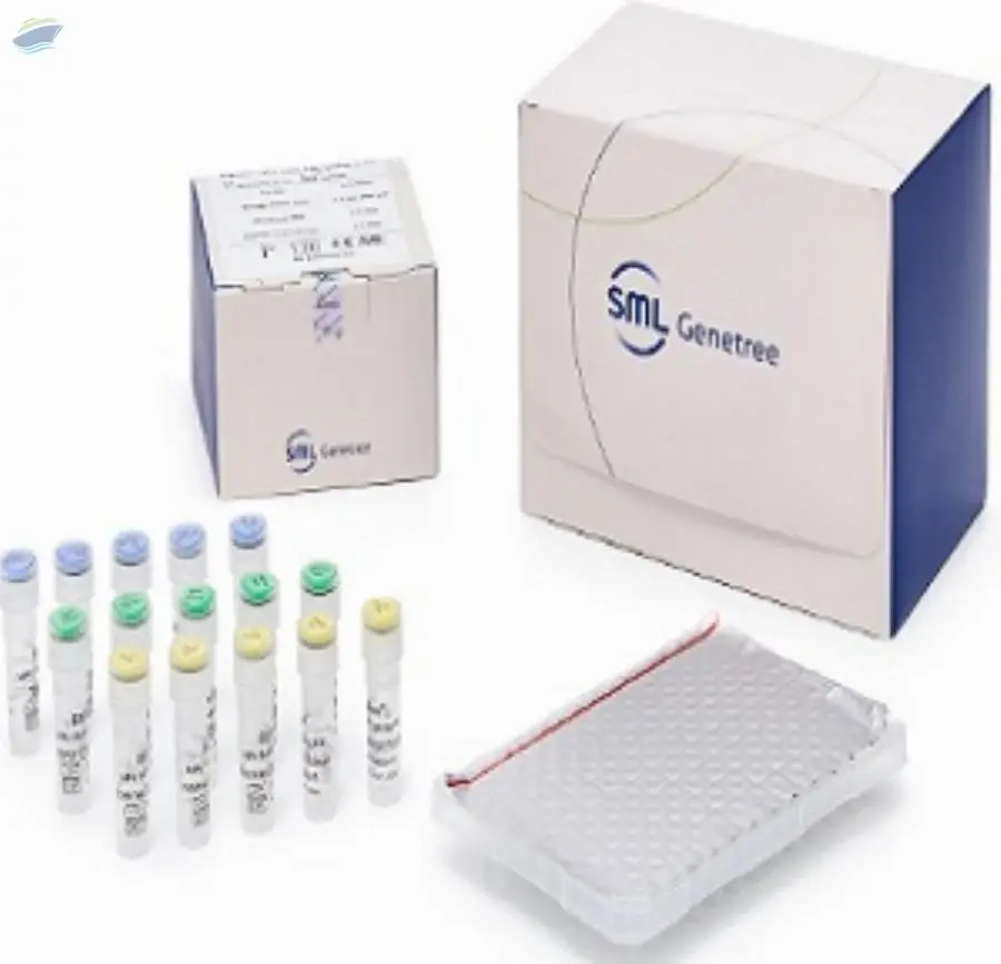 Sequencing Technology HPV NGS Typing Kit