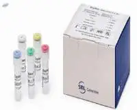 SARS-CoV-2 G Real time RT-PCR Kit