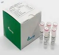 Vitro Diagnostic  MTBC/NTM Real Time PCR Kit