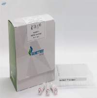 HLA-B NGS Typing Vitro Diagnostic Test Kit