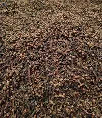 Indonesian Cloves