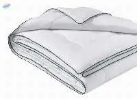 Quilt/ Comforter