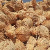 Semi Husked Coconut