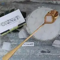 Coconut Jelly (Nata De Coco)