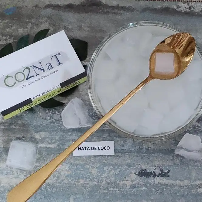 Coconut Jelly (Nata De Coco)