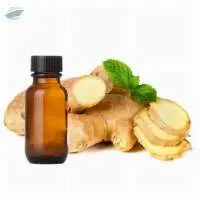 Ginger Essential Oil (fresh)