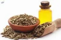 Fennel Essential Oil (sweet)