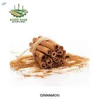 Cinnamon