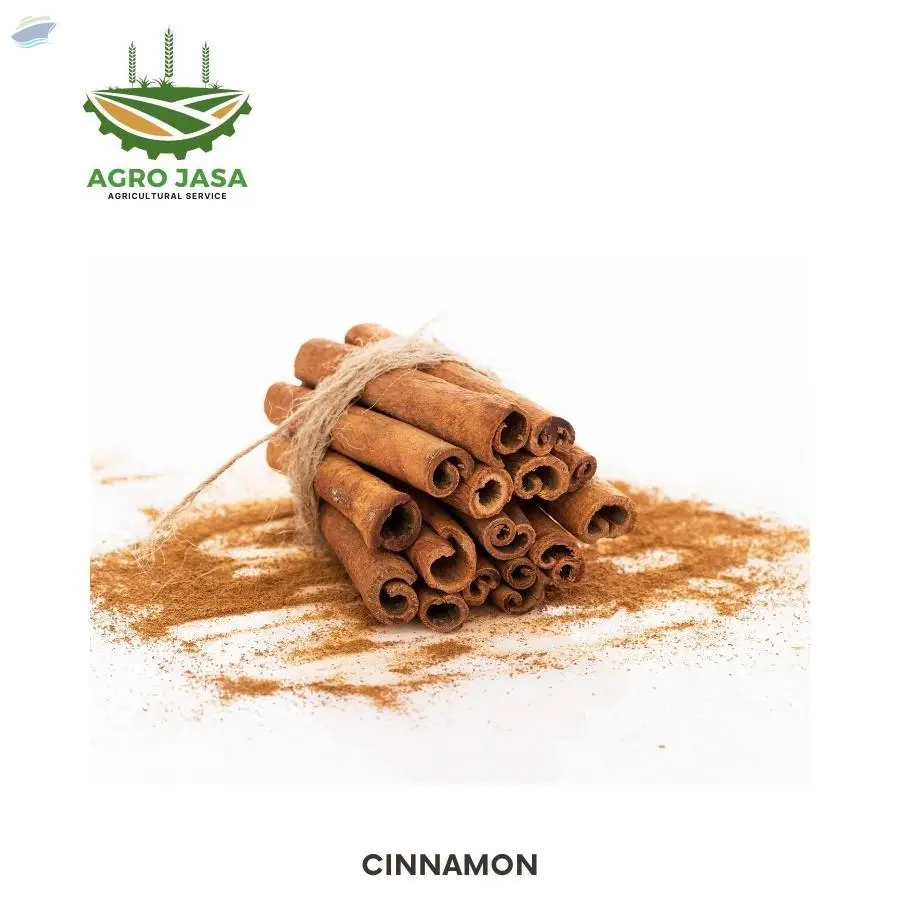 Cinnamon