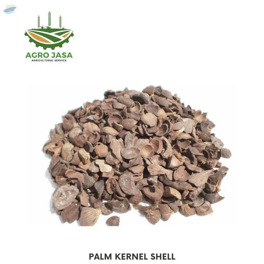 Palm Kernel Shell