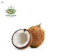 Semi Husked Coconut