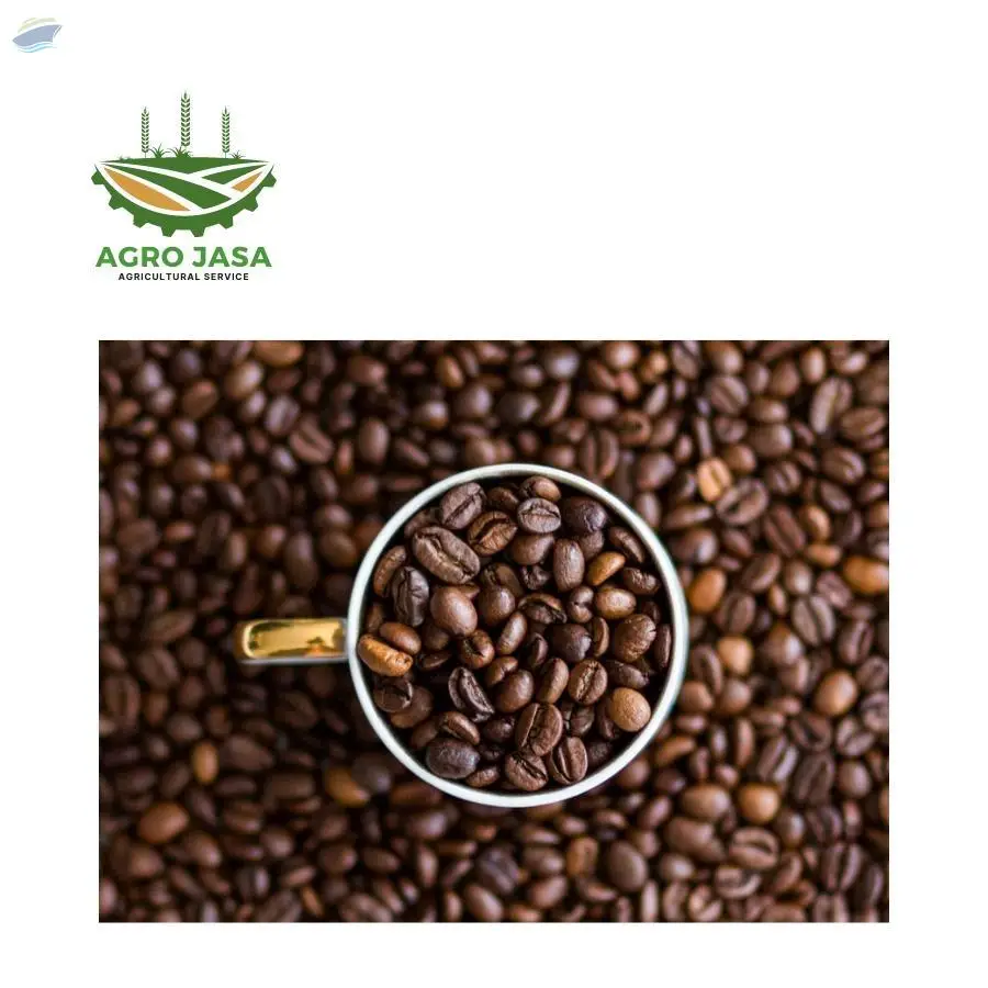 Coffee Arabica