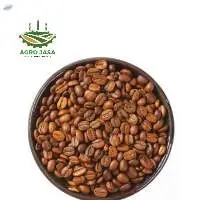 Coffee Robusta