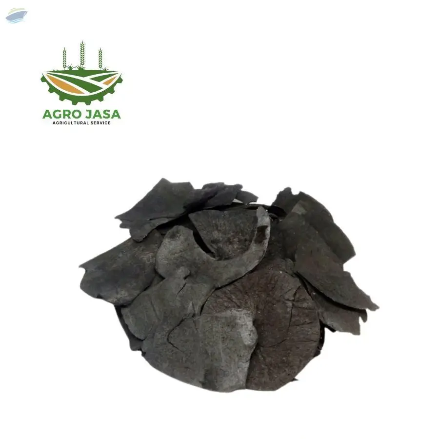 Coconut Shell Charcoal