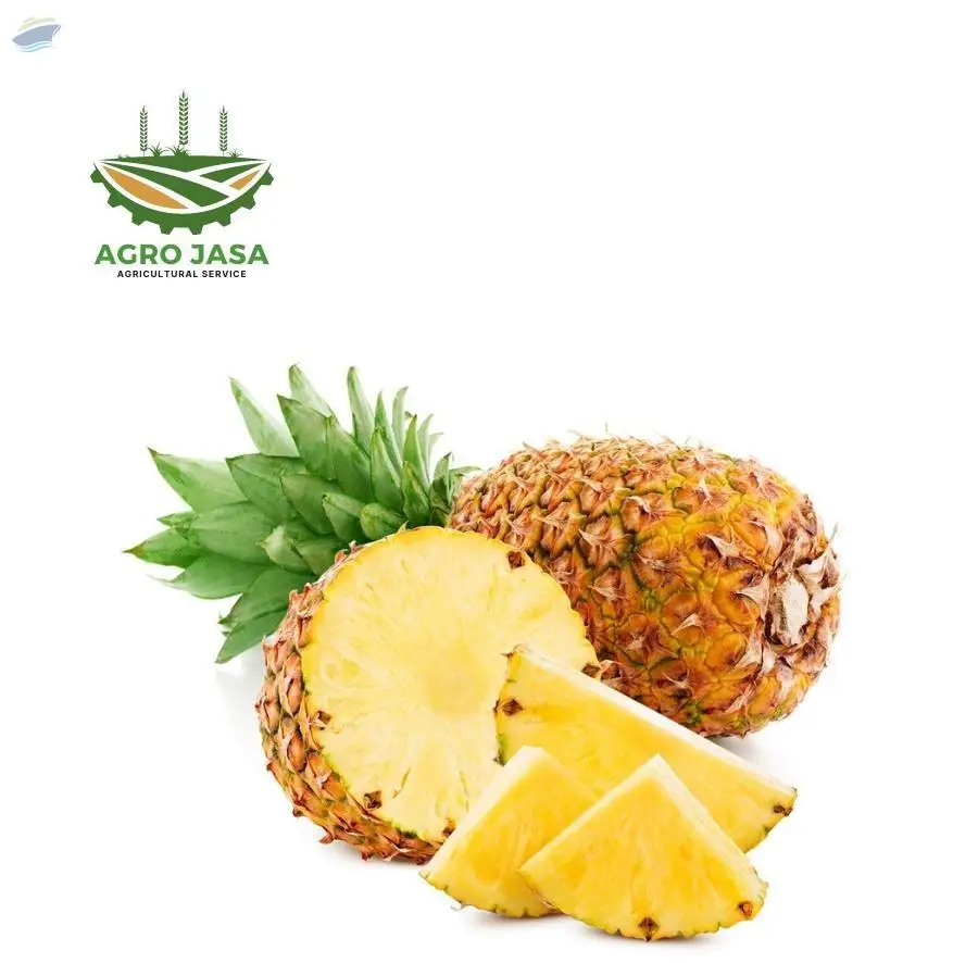 Pineapples