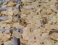 Melinjo Chips