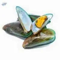 Live Green Lip Mussels (Perna canaliculus)