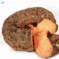Elephant foot yam