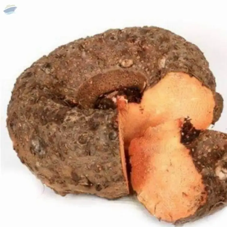 Elephant foot yam