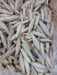 Frozen Anchovy Hl