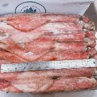 Frozen Squid