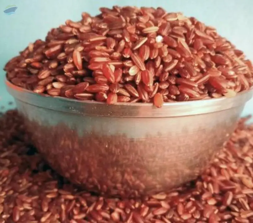 Bridegroom's Rice (Mappillai Samba Rice)