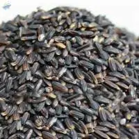 Black Rice (Karuppu Kavuni Rice)