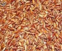 Kulla Kar Rice