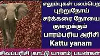 Wild Elephant Rice - Kattu Yanam Rice