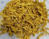 Cordyceps Militaris Mushroom