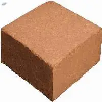 Coir Pith Block / Coco Pith Block
