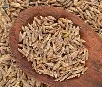 Cumin Seeds / Cumin Powder