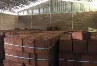 Coco Peat