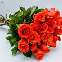 Confidential Flower