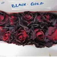 Black Gold Flowers