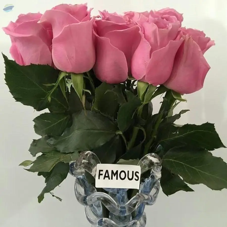 Famous Flowers