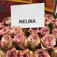 Melina Flowers