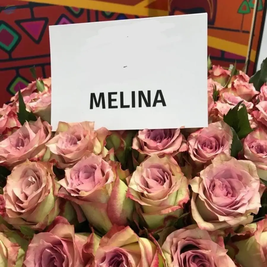 Melina Flowers